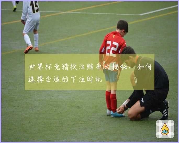 世界杯竞猜投注赔率大揭秘，如何选择合适的下注时机