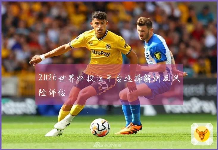 2026世界杯投注平台选择解析及风险评估