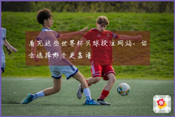 看完这些世界杯买球投注网站，你会选择哪个更靠谱