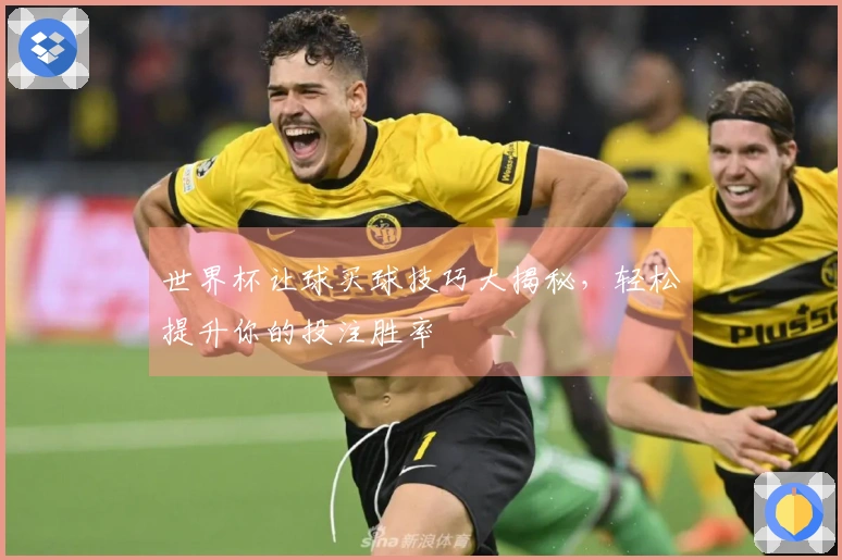 世界杯让球买球技巧大揭秘，轻松提升你的投注胜率