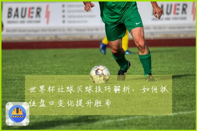 世界杯让球买球技巧解析，如何抓住盘口变化提升胜率