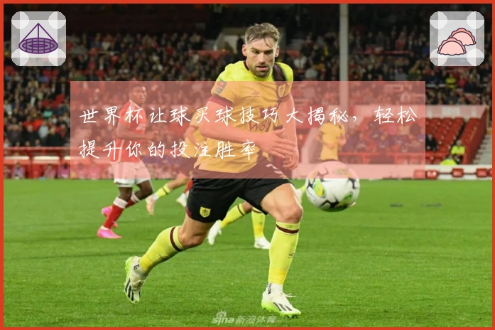 世界杯让球买球技巧大揭秘，轻松提升你的投注胜率