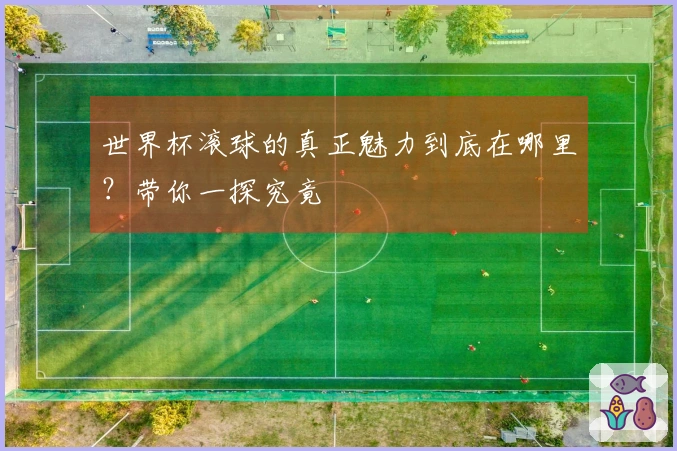 世界杯滚球的真正魅力到底在哪里？带你一探究竟