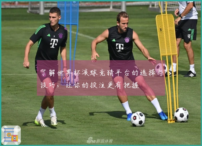 了解世界杯滚球竞猜平台的选择与技巧，让你的投注更有把握